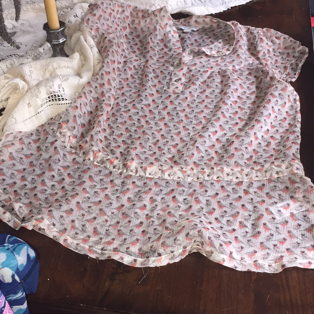 Sheer blouse, Banana Republic, size medium